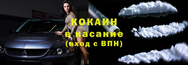 прущие грибы Куйбышев