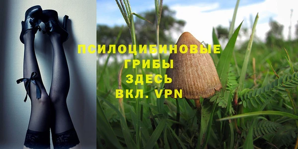прущие грибы Куйбышев